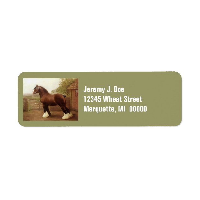 Feathers Clydesdale Draft Horse Address Labels (Front)