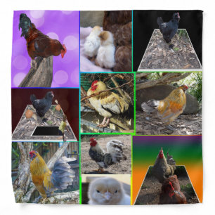 Feathers in Focus: A Collage of Chickens Roosters Bandana