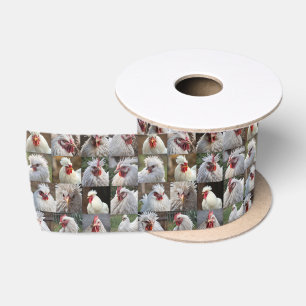 "Feathers in Focus: A White Chicken's Portrait" Satin Ribbon