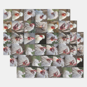"Feathers in Focus: A White Chicken's Portrait" Wrapping Paper Sheets