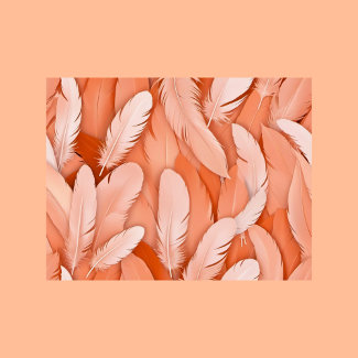 Feathers in Peach Fuzz color, Postcrossing
