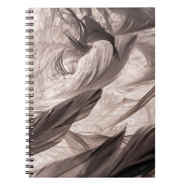 Feathers Notebook (Front)