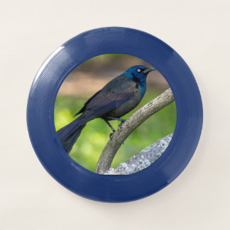 Feathers of Steel. Grackle Wham-O Frisbee