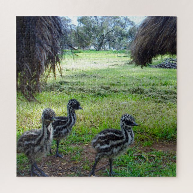 "Feathers of the Future: Three Baby Emu Chicks" Jigsaw Puzzle (Vertical)
