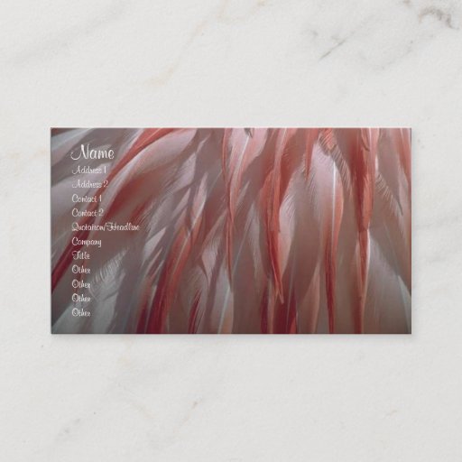 Customizable Feathers Profile Card Business Card