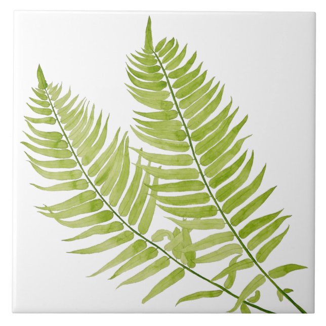 Feathery Fern on a Ceramic Tile (Front)