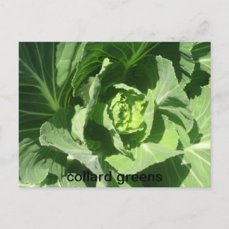 feb 28 193, collard greens postcard