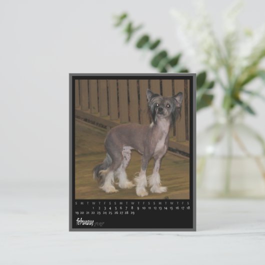 february 2012 calendar (Standing Front)