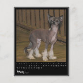 february 2012 calendar (Front)