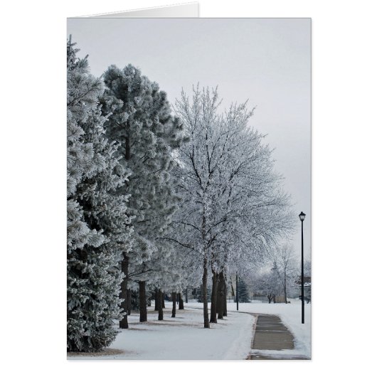 February 2012 Hoar Frost Grand Forks, North Dakota (Front)