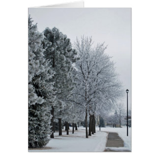 February 2012 Hoar Frost Grand Forks, North Dakota Cards