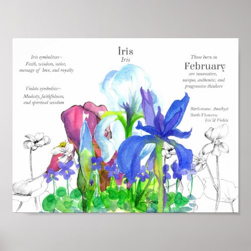 February Birthday Iris Birth Month Flower Violets Poster