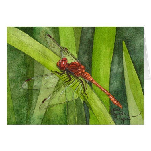 February Dragonfly Cards (Front Horizontal)