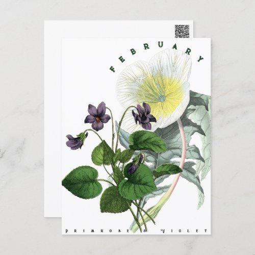 February Flowers Primrose and Violet Postcard