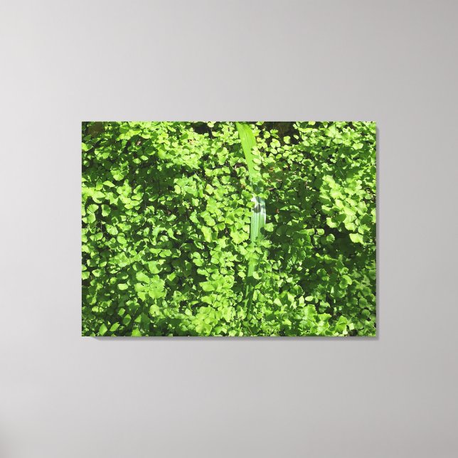 February Greens Canvas Print (Front)