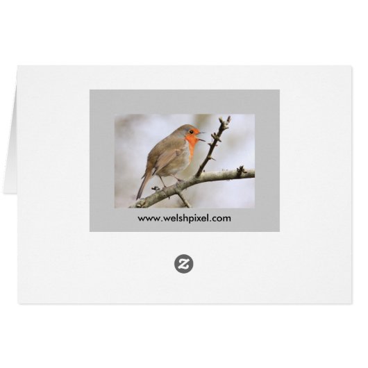 February Robin (Back Horizontal)