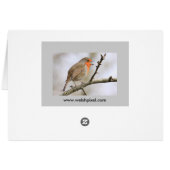 February Robin Cards (Back Horizontal)