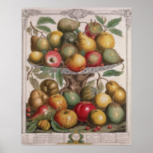 February, 'Twelve Months of Fruits' Poster