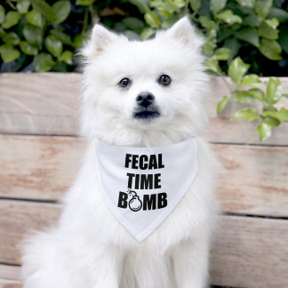FECAL TIME BOMB PET BANDANA COLLAR
