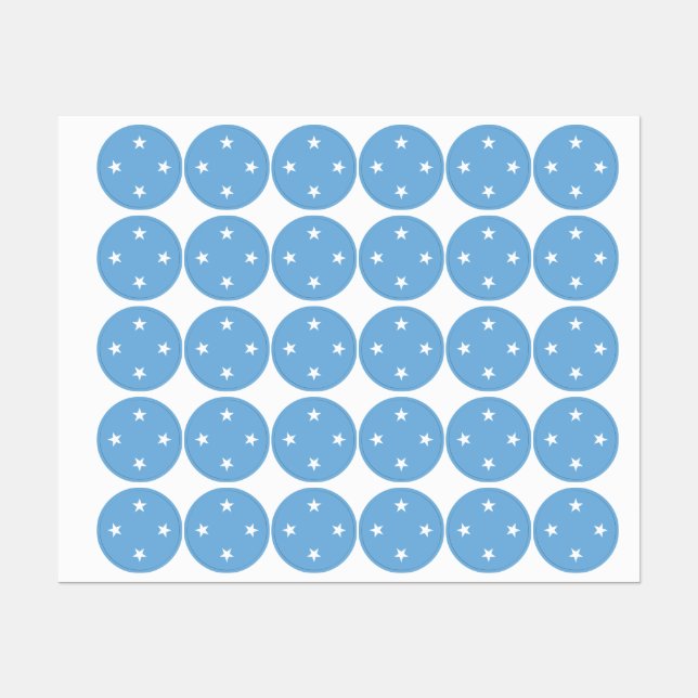 Federated States of Micronesia flag Labels (Sheet)