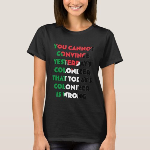 Fee Palestine Womens T_shirt _ Stop Gaza Genocide