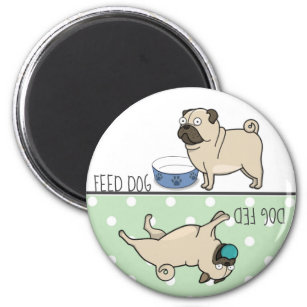 Feed Dog / Dog Fed Cute Pug Magnet
