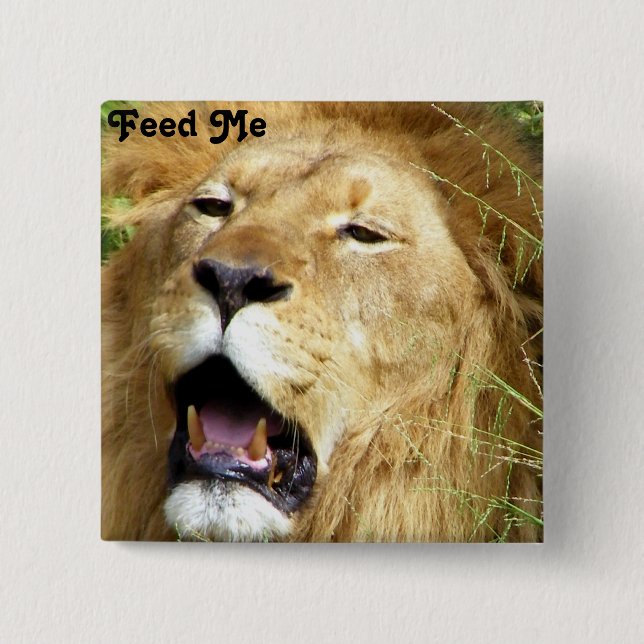 Feed Me_ Button (Front)