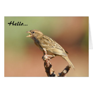 Feed Me! Cards