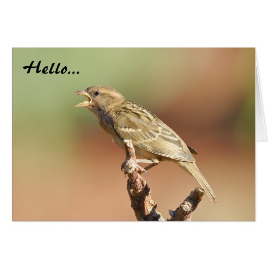Feed Me! Cards (Front Horizontal)