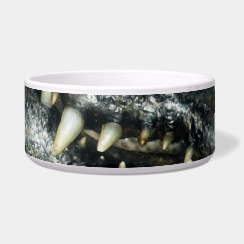 Feed Me Cayman Teeth Crocodile Reptile Dog Dish