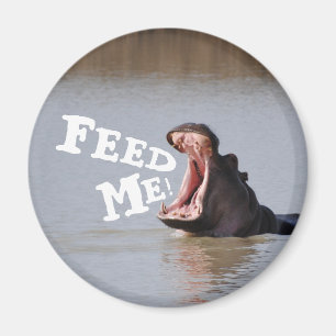 Feed Me! Hippo Funny Fridge Magnet