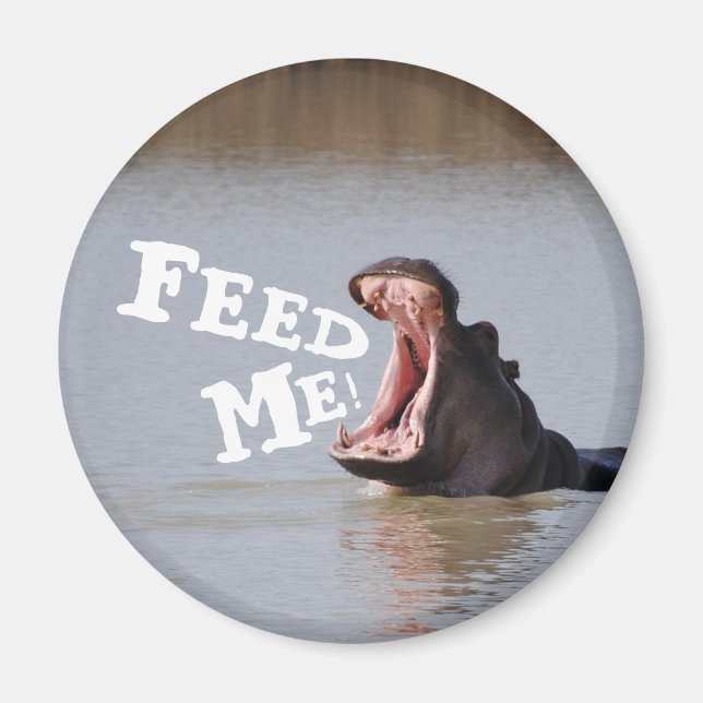 Feed Me! Hippo Funny Fridge Magnet (Front)