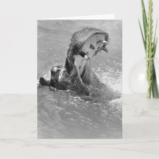 Feed Me Hippo Note Card (Front)