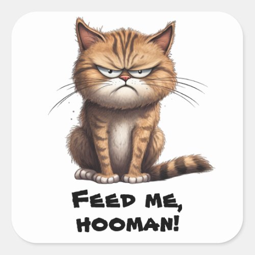 Feed Me Hooman  Funny Square Sticker