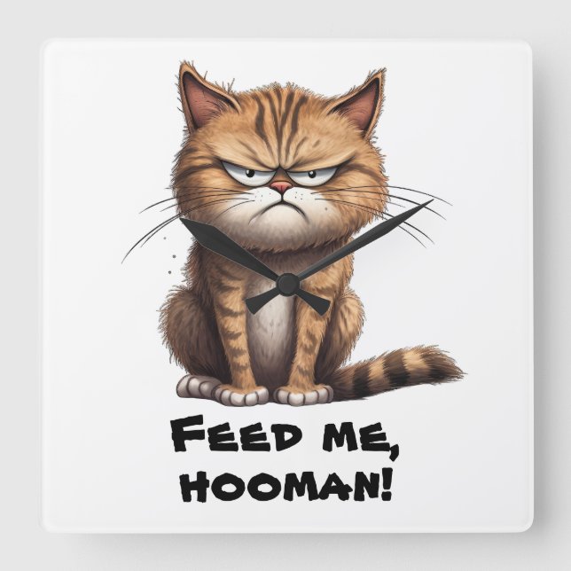 Feed Me, Hooman!  Funny Square Wall Clock (Front)