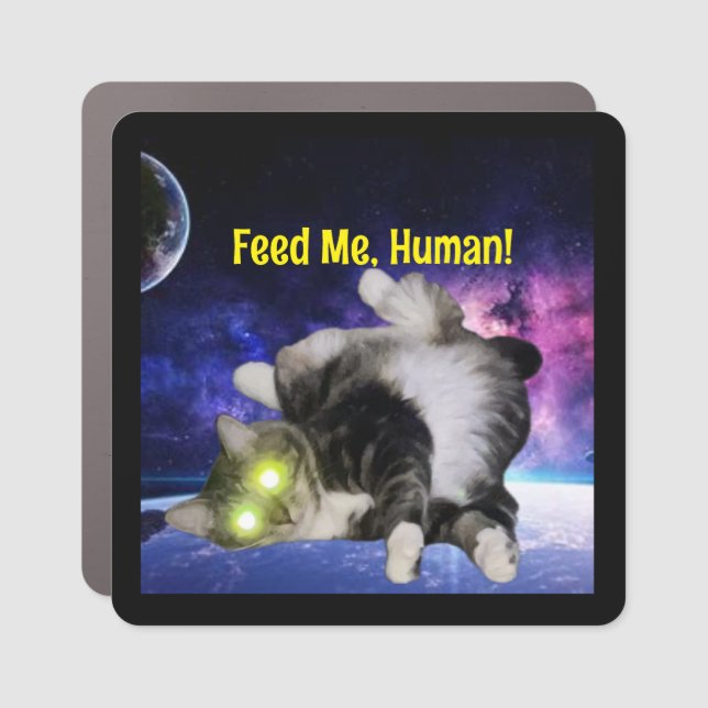 Feed Me, Human! Car Magnet (Front)