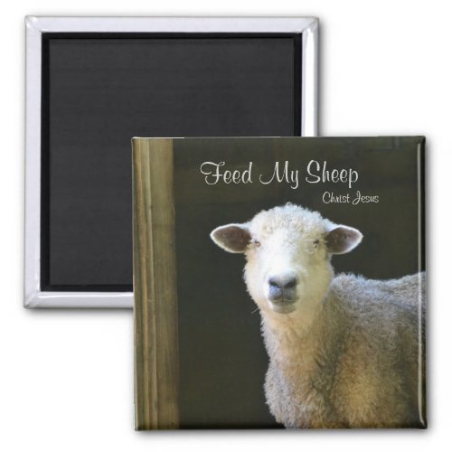 Feed My Sheep Magnet