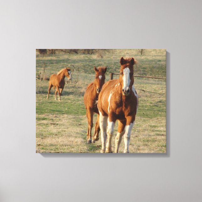 Feed Time Canvas Print (Front)