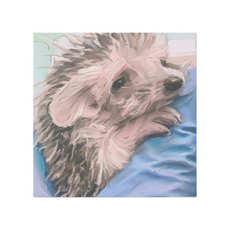 feeding a tiny and orphaned baby hedgehog  gallery wrap