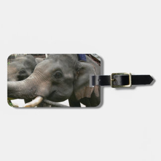 Feeding Asian Elephants Bananas in Thailand! Luggage Tag