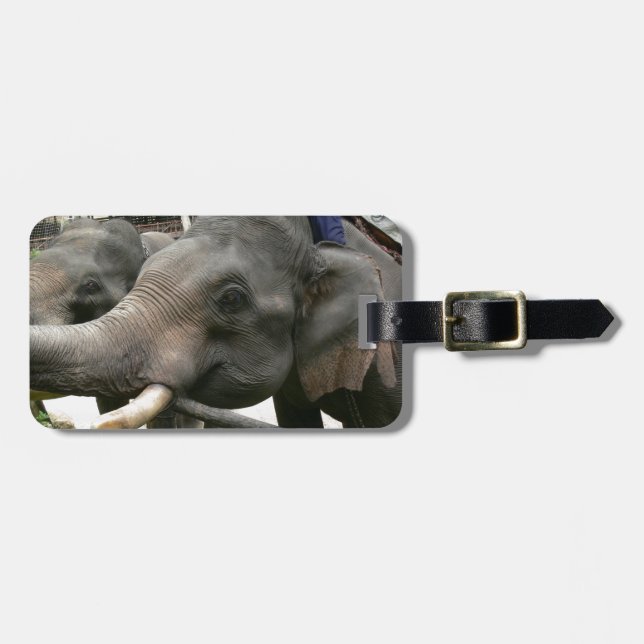 Feeding Asian Elephants Bananas in Thailand! Luggage Tag (Front Horizontal)