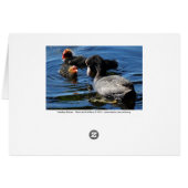 Feeding Babies Cards (Back Horizontal)