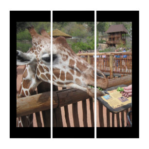 Feeding Giraffe Zoo Personalize Destiny Destiny'S Triptych