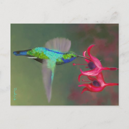 Feeding Hummingbird JW Postcard