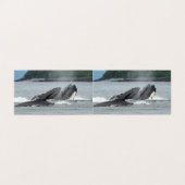 Feeding Humpback Whales (Outside Unfolded)