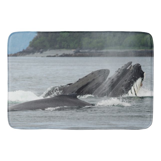Feeding Humpback Whales Bath Mat (Front)