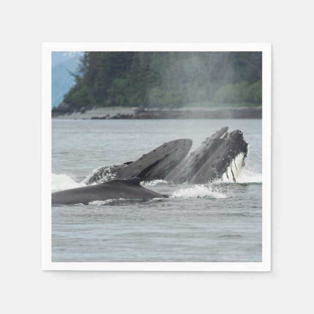 Feeding Humpback Whales Napkins (Front)
