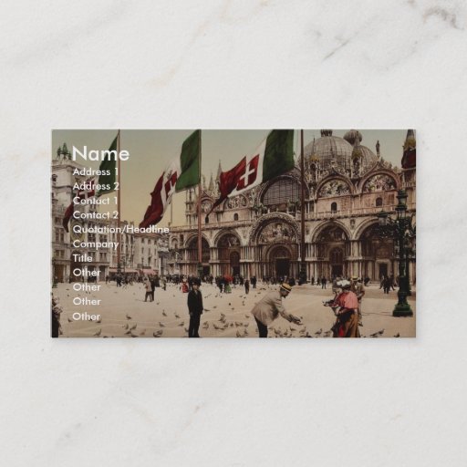 Customizable Feeding Pigeons in St. Mark's Place, Venice, Italy Business Cards
