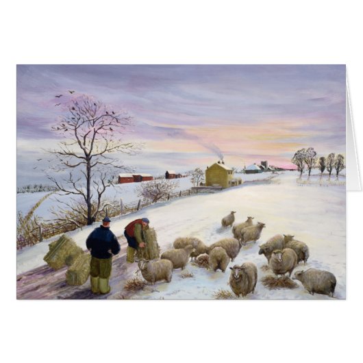 Feeding sheep in winter cards (Front Horizontal)
