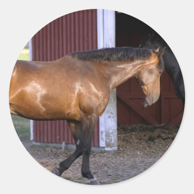 Feeding Time Classic Round Sticker (Front)